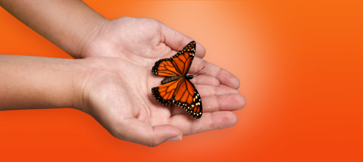 iStock_000000713867XSmall