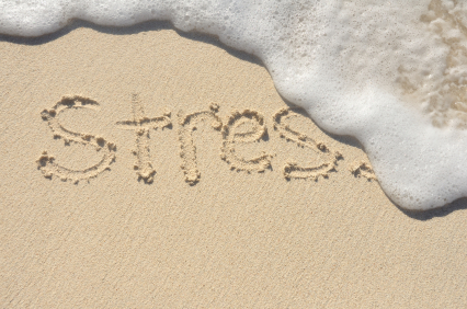 iStock_000016271480XSmall