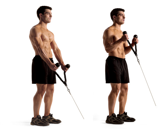 The 23 Best Biceps Exercises - Early To Rise